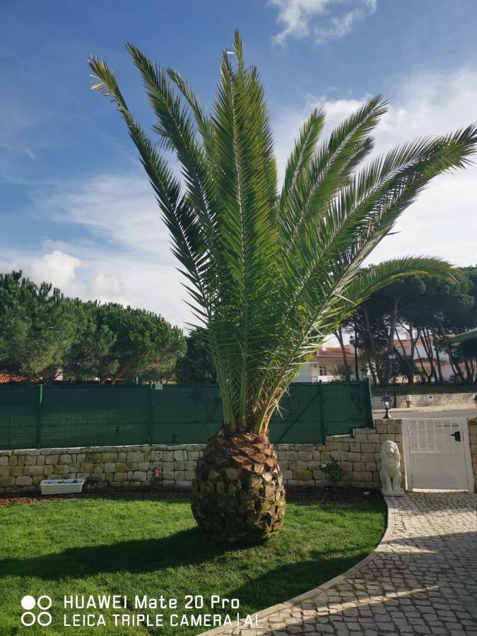 Villa Lala Amoreira  Zewnętrze zdjęcie